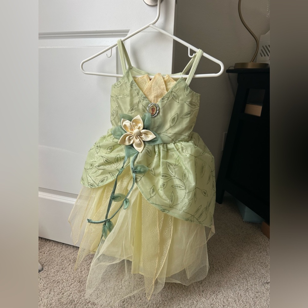 DisneyLand Tiana Princess &The Frog Costume